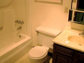 Bathroom with Tub