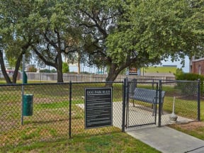 Fenced in dog park with large shade trees