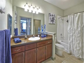 Bathroom with framed mirror and soaking tub/shower