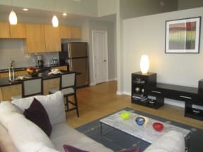 Luxury Richmond VA Apartment