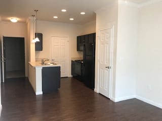 Upscale pendant lighting at CLEAR Property Management , The Lookout at Comanche Hill, San Antonio, 78247