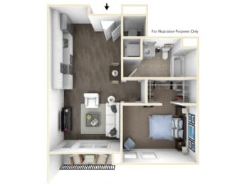 1 bed 1 bath floor plan C