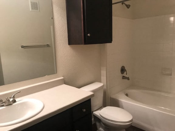 Large Soaking Tub In Bathroom at CLEAR Property Management , The Lookout at Comanche Hill, San Antonio, TX, 78247