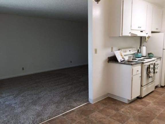 kitchen, dining and living room area