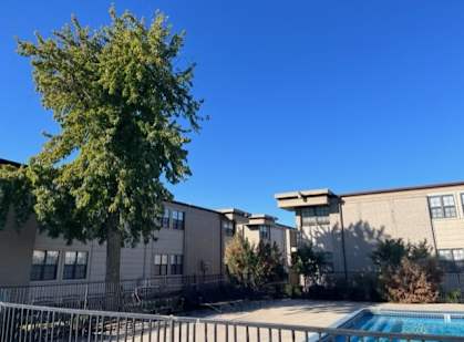 an apartment building with a pool and a tree
