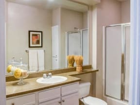Bathroom with large vanity and standing shower