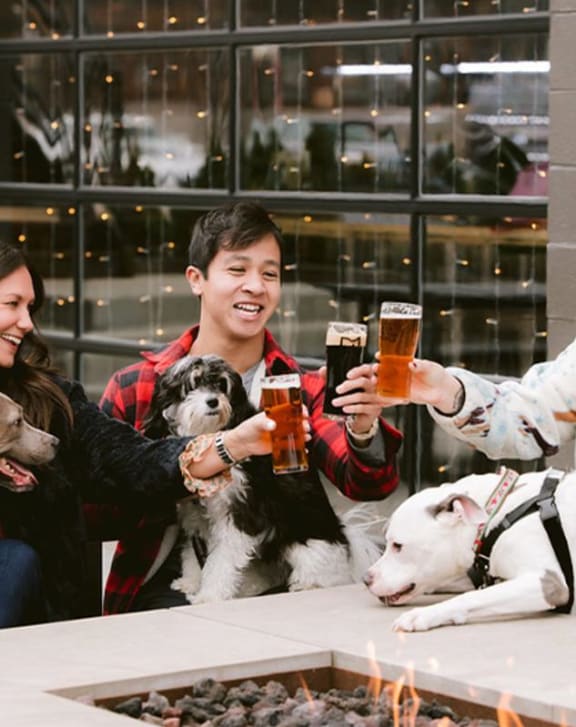 people sitting at a bar with dogs and beers