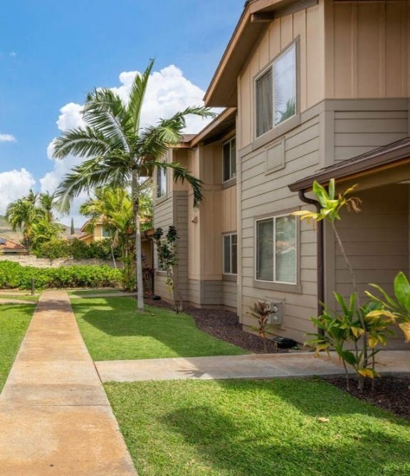 a sidewalk in front of a house with palm trees