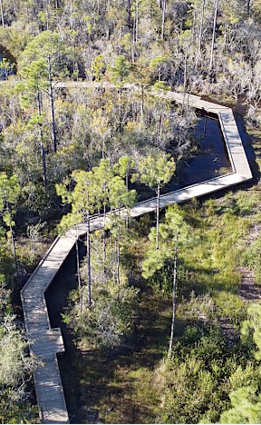 A wooden walkway meanders through a forest at The Beacon at 331 Apartments, Santa Rosa Beach, Florida