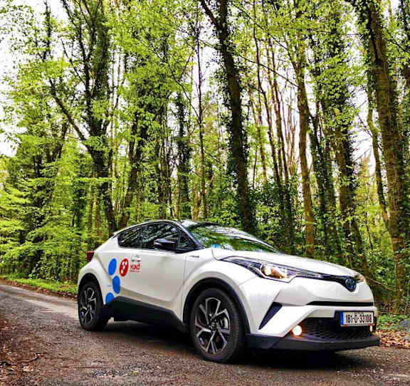 A white car with blue dots and the letters "KO" on it is parked on a dirt road in a forest.