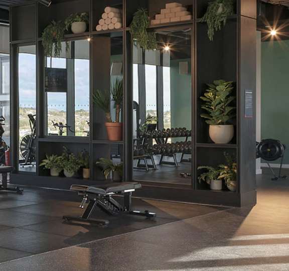 A modern room with a large window, a bench, and a variety of potted plants.
