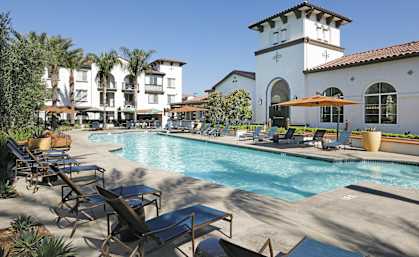 the swimming pool at the resort at longboat key club