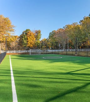 Community soccer field