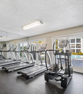 Fitness center at Haven at Water's Edge Apartments in Tampa, Florida
