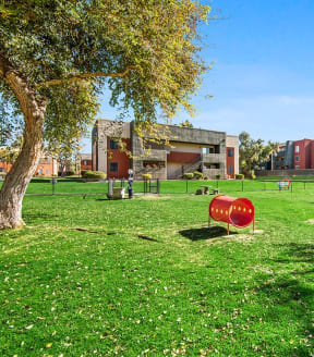 Dog park at Saratoga Ridge