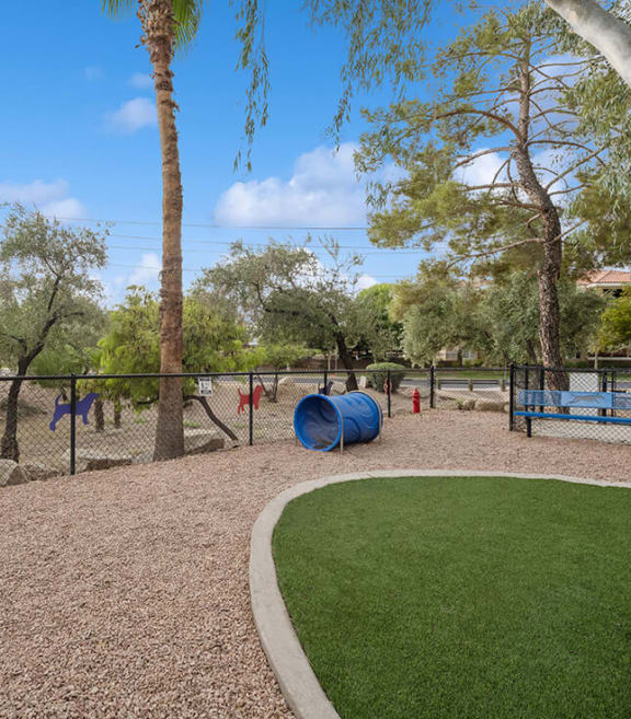 Community Dog Park with Agility Equipment at Crystal Creek Apartments in Phoenix, AZ-SMLAM.