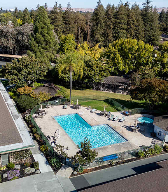 Aerial View of Community Swimming Pool at The Grove at Walnut Creek Apartments located in Walnut Creek, CA-SMLAM.