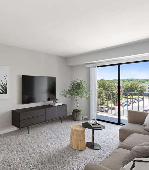 Model Living Room with Carpet and Patio Accessibility at Brightwood Forest Apartments in Dale City, VA-SMLAM.