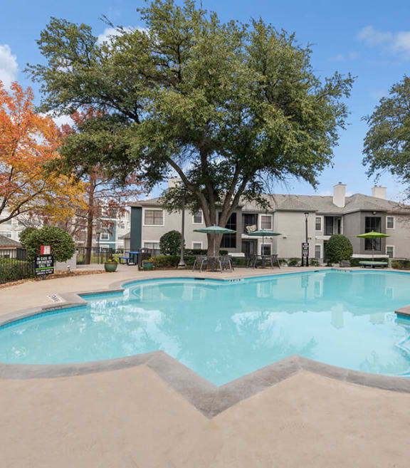 Community Swimming Pool with Pool Furniture at Bridges at Oakbend Apartments located in Lewisville, TX-SMLAM.
