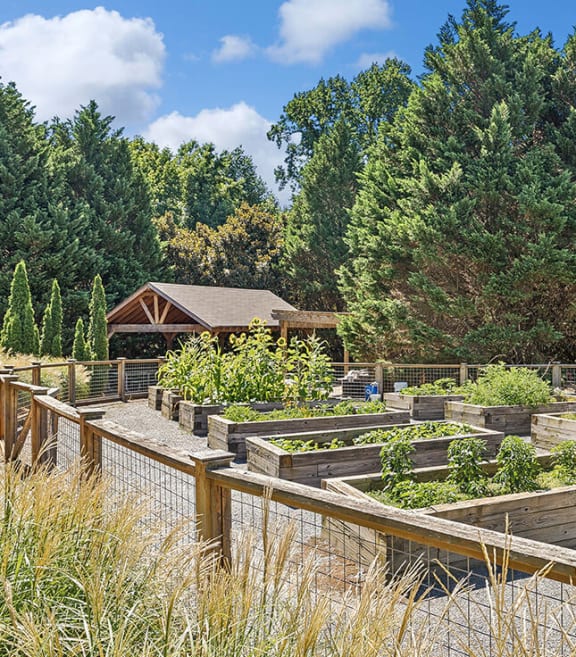 Community Garden with Planter Boxes at Lakeside Retreat Apartments located in Peachtree Corners, GA-SMLAM.