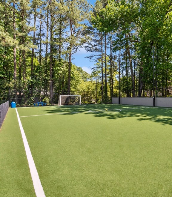 Community soccer field