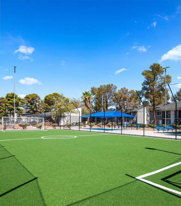Soccer Field