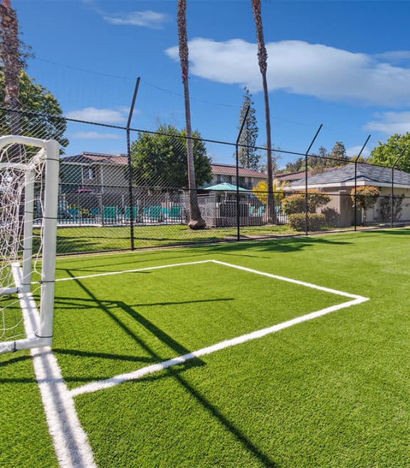 Community soccer field