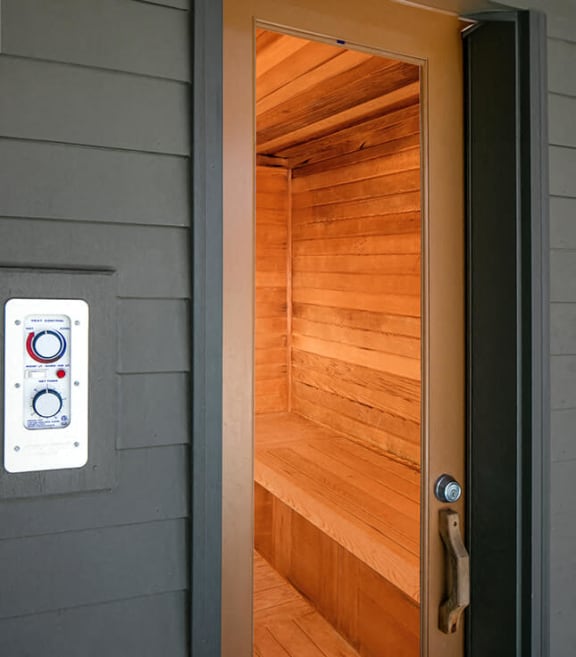 Dry sauna