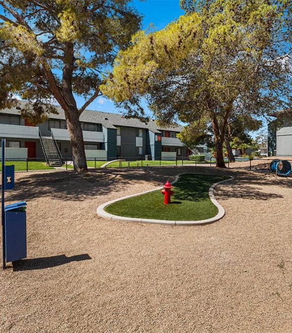 Community dog park