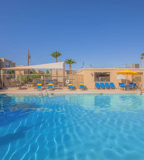 A large swimming pool with blue water and sun loungers.