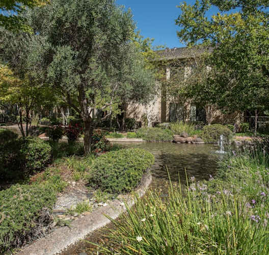 a garden with a pond and trees at Winding Commons Senior Living, Carmichael, CA