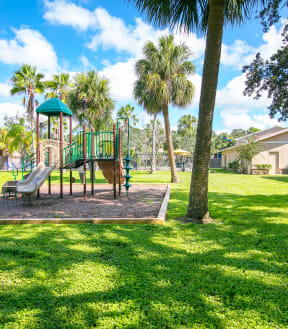 a playground with a slide in the middle of a grassy area with palm trees