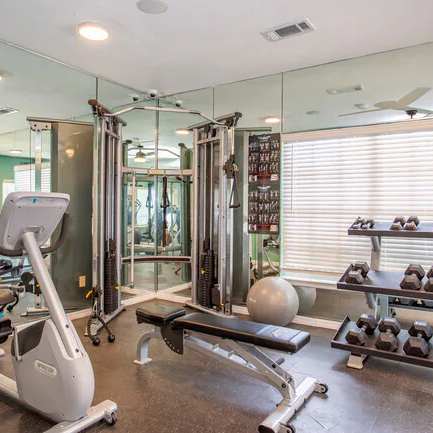 the gym is equipped with a variety of exercise equipment