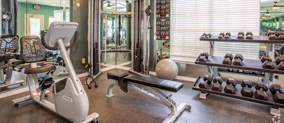 the gym is equipped with a variety of exercise equipment