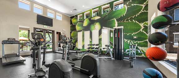 A gym with a green tree mural on the wall.