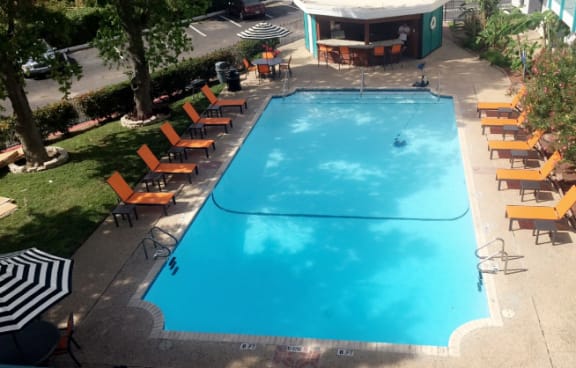 Over view of the pool