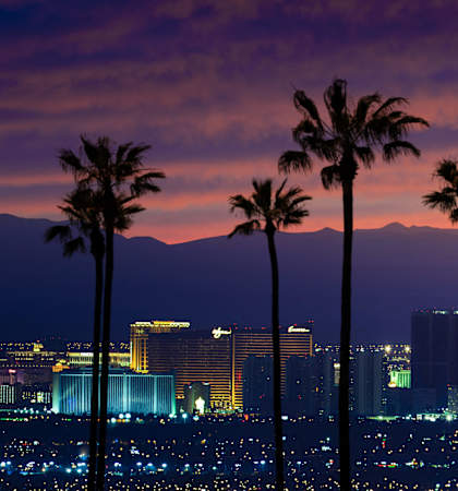 the city at sunset with palm trees