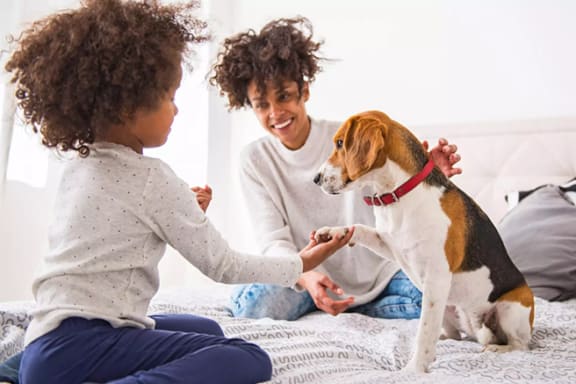 a father and daughter playing with their dog on a bed