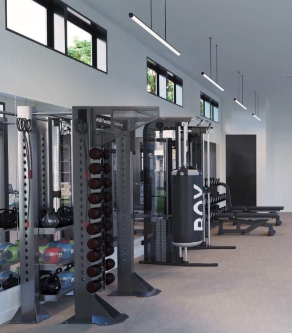 a gym with a lot of equipment and windows