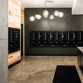 a wine cellar with a green wall and concrete floor