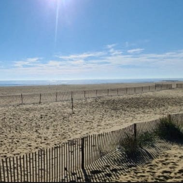 best garden style one bedroom and two bedroom rental apartments at brighton arms apartments in neptune city, nj near jersey shore medical student short term fully furnished housing available