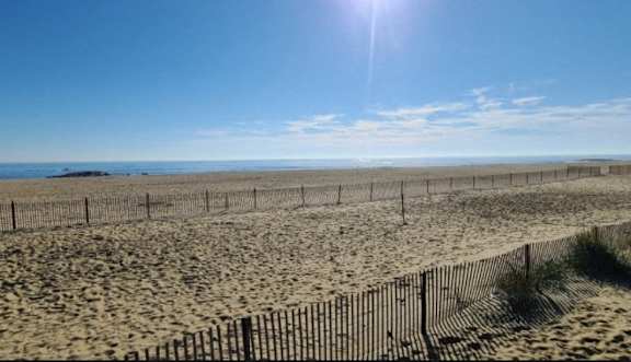best garden style one bedroom and two bedroom rental apartments at brighton arms apartments in neptune city, nj near jersey shore medical student short term fully furnished housing available
