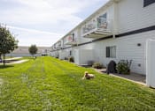 Thumbnail 8 of 10 - A dog is lying on the grass in front of a row of houses.