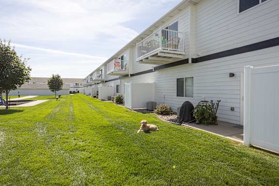 A dog is lying on the grass in front of a row of houses.