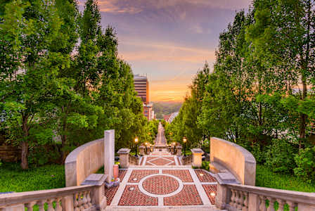 A beautiful park with a circular brick walkway in the middle.