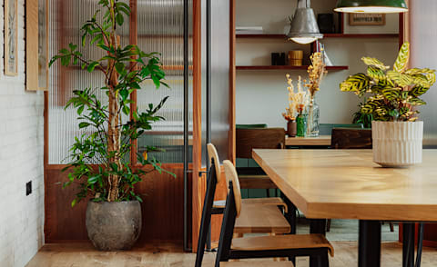 A room with a table, chairs and potted plants.