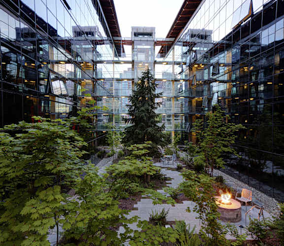 a courtyard filled with trees and a fire pit