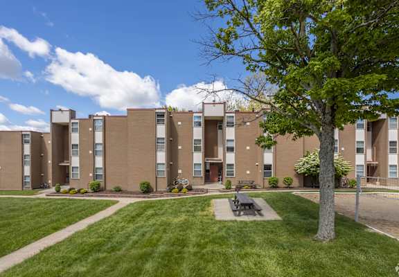 A tree stands in front of apartment buildings.