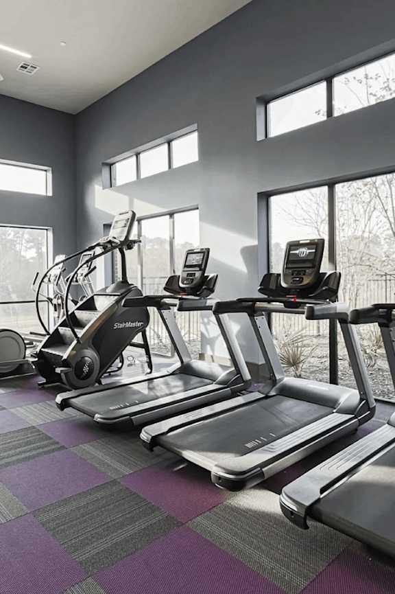A row of treadmills and elliptical machines in a gym.