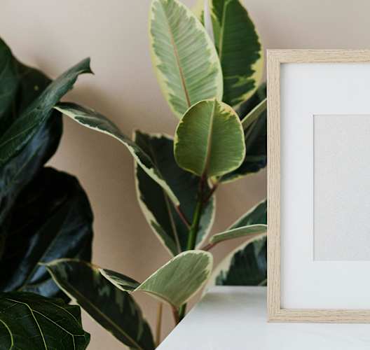 a picture frame next to a plant on a table